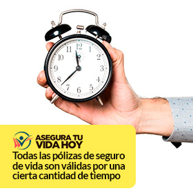 Beneficios del Seguro de Vida Tiempo