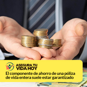 Compare Seguros de Vida